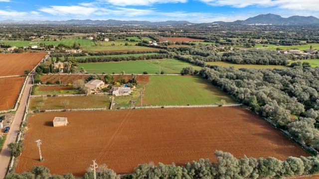 Grond te koop in Felanitx - € 130.000 (Ref: 9465404)