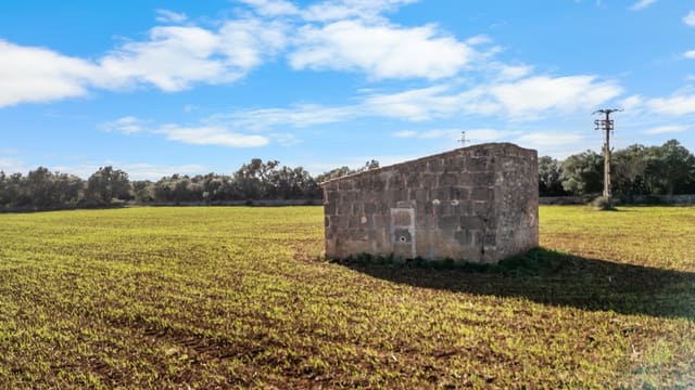 Mark till salu i Felanitx - 130 000 € (Ref: 9465404)