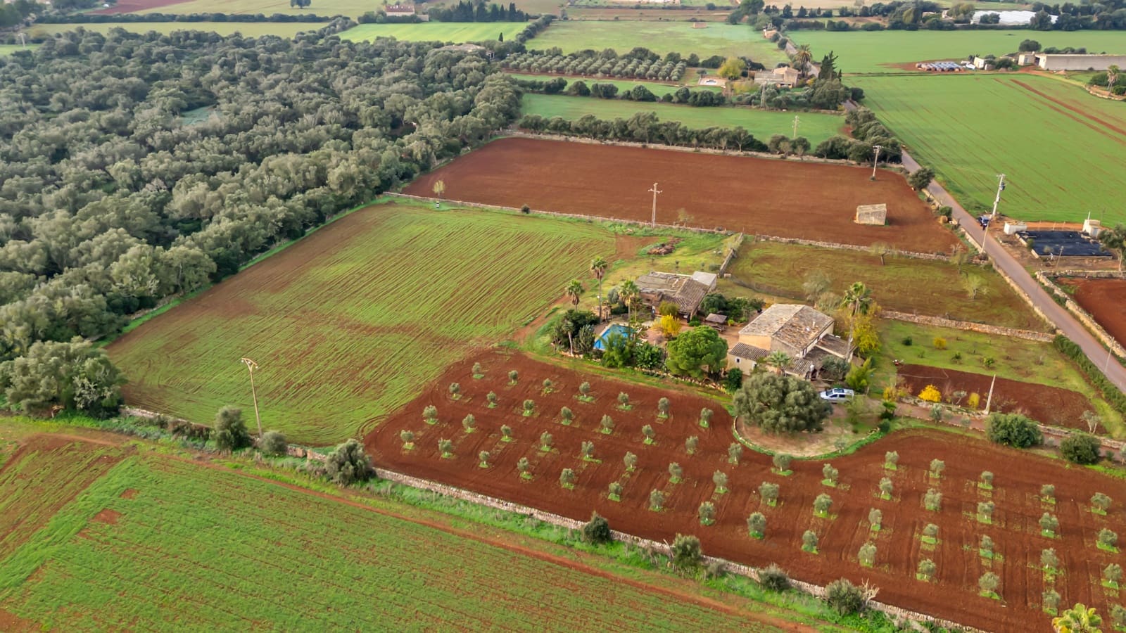 Mark till salu i Felanitx - 130 000 € (Ref: 9465404)