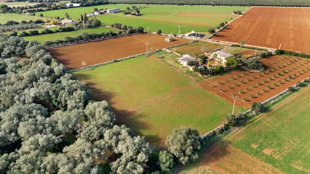 Mark till salu i Felanitx - 130 000 € (Ref: 9465404)