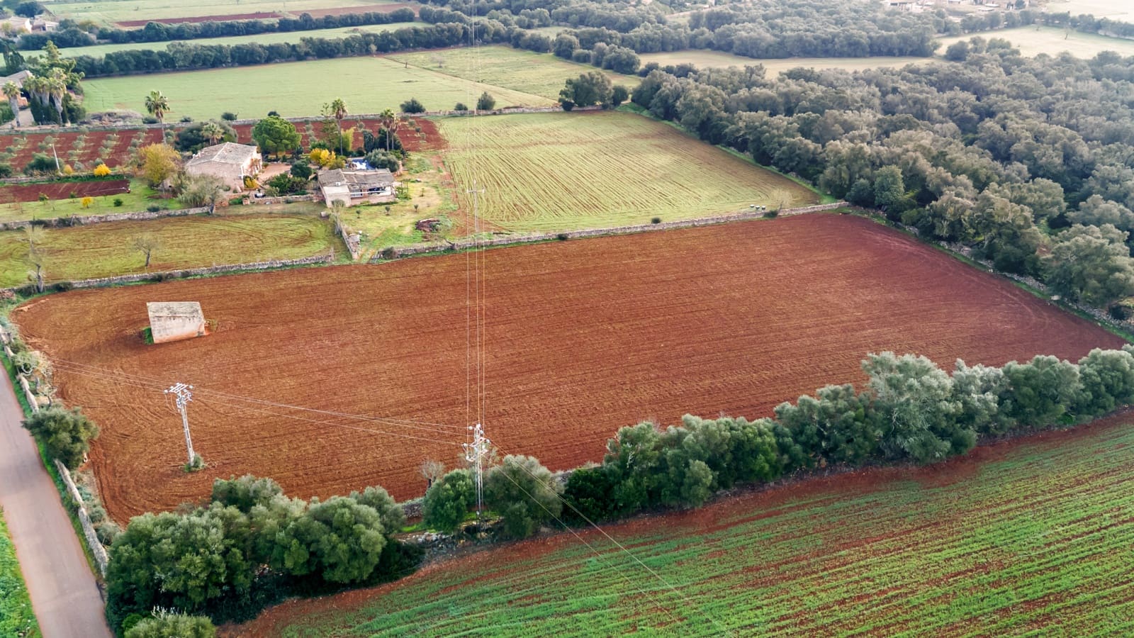 Mark till salu i Felanitx - 130 000 € (Ref: 9465404)