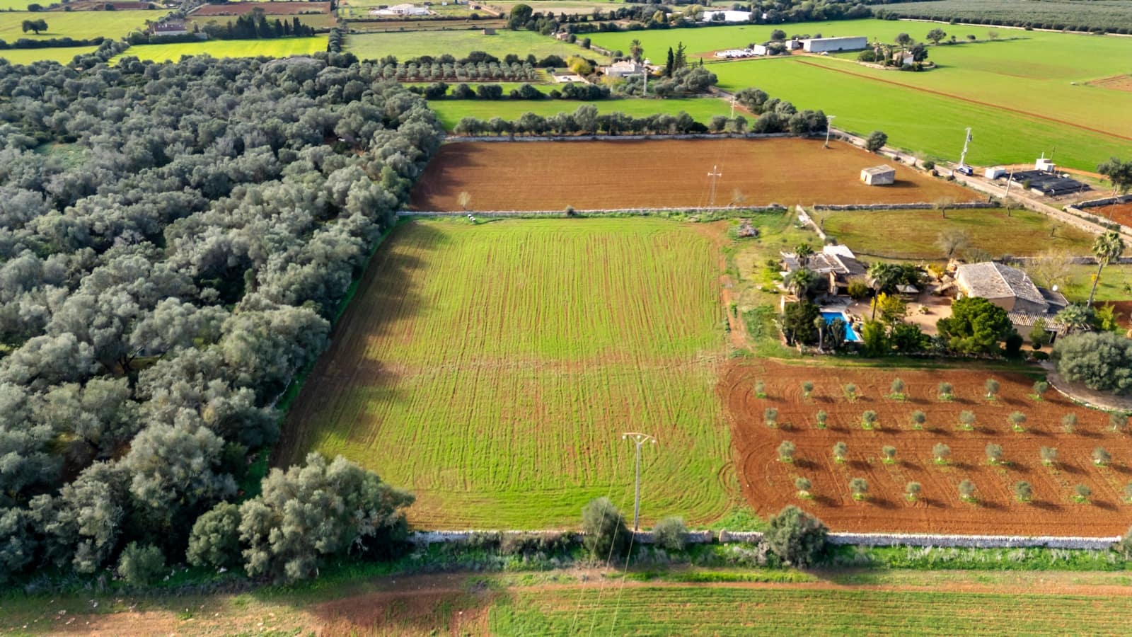 Mark till salu i Felanitx - 130 000 € (Ref: 9465404)