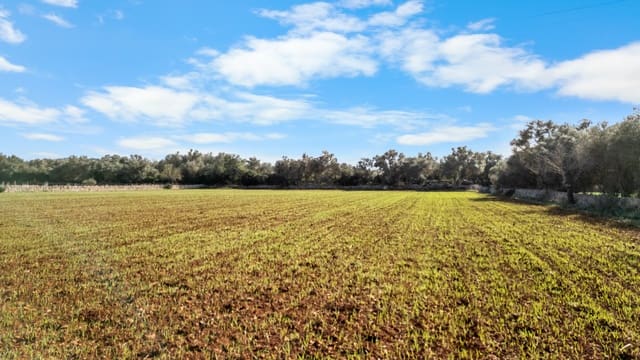 Mark till salu i Felanitx - 130 000 € (Ref: 9465404)