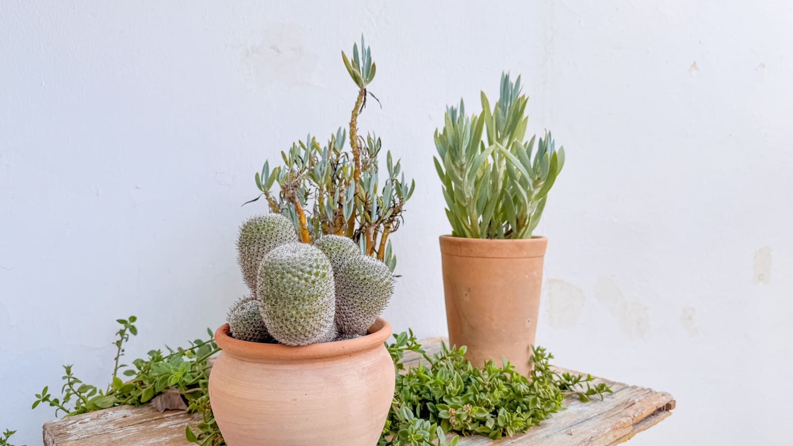 3 bedroom Apartment for sale in Felanitx - € 445,000 (Ref: 9611292)