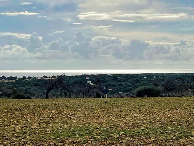 Finca/Casa Rural de 4 habitaciones en Cala Murada, Manacor en venta con piscina - 690.000 € (Ref: 9672370)