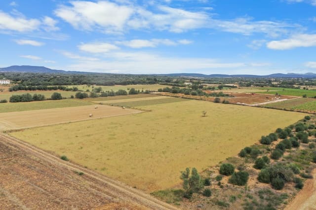 Terreno/Finca Rústica en Felanitx en venta - 235.000 € (Ref: 9672393)