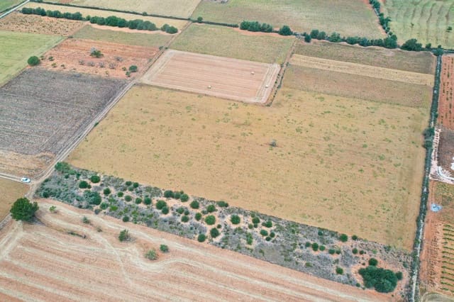 Terreno/Finca Rústica en Felanitx en venta - 235.000 € (Ref: 9672393)