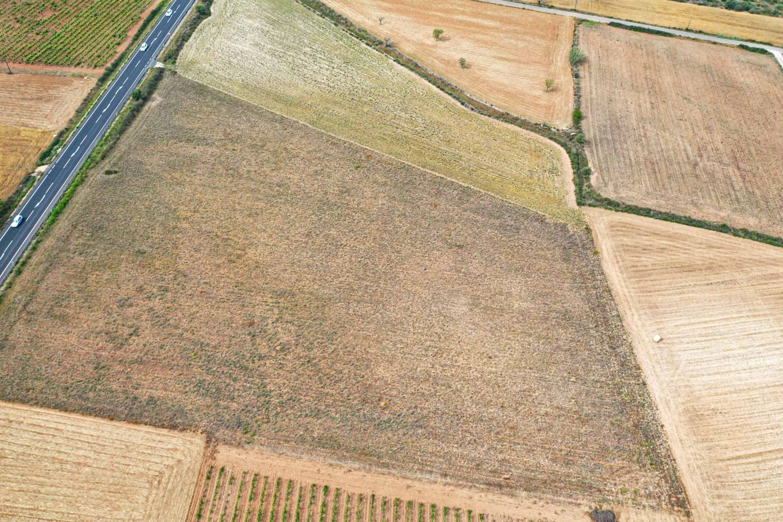 Teren niezagospodarowany na sprzedaż w Felanitx - 190 000 € (Ref: 9672399)