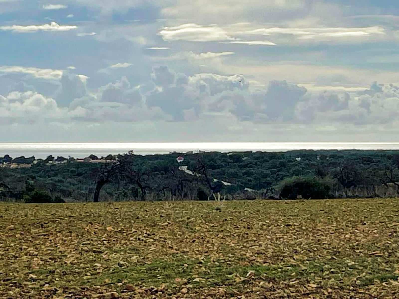 4 quarto Quinta/Casa Rural para venda em Cala Murada com piscina - 690 000 € (Ref: 9678240)