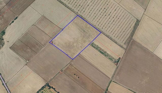 Grunde uden byggetilladelser til salg i Felanitx - € 190.000 (Ref: 9678257)