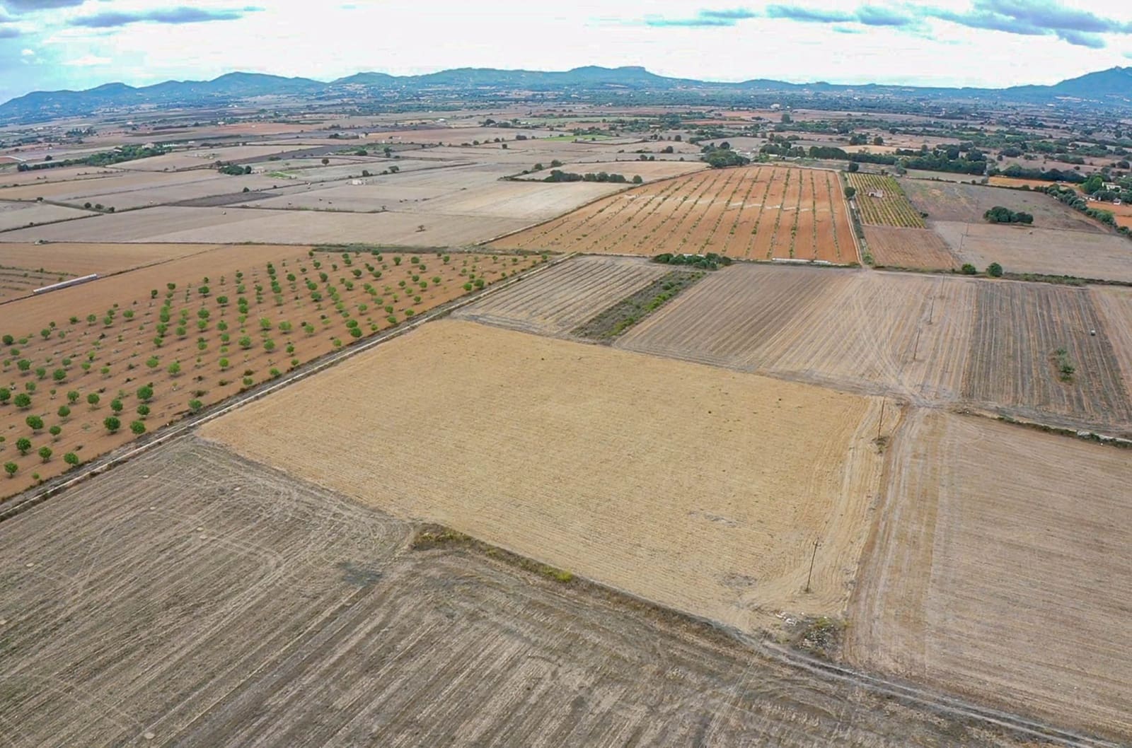 Grunde uden byggetilladelser til salg i Felanitx - € 190.000 (Ref: 9678257)