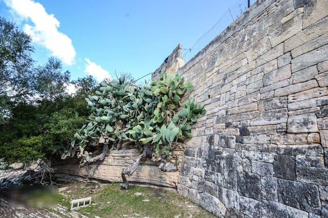 Finca/Casa Rural de 8 habitaciones en Porreres en venta - 5.500.000 € (Ref: 9678270)