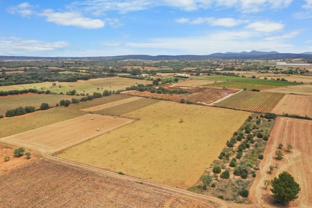 Terreno/Finca Rústica en Felanitx en venta - 235.000 € (Ref: 9678288)