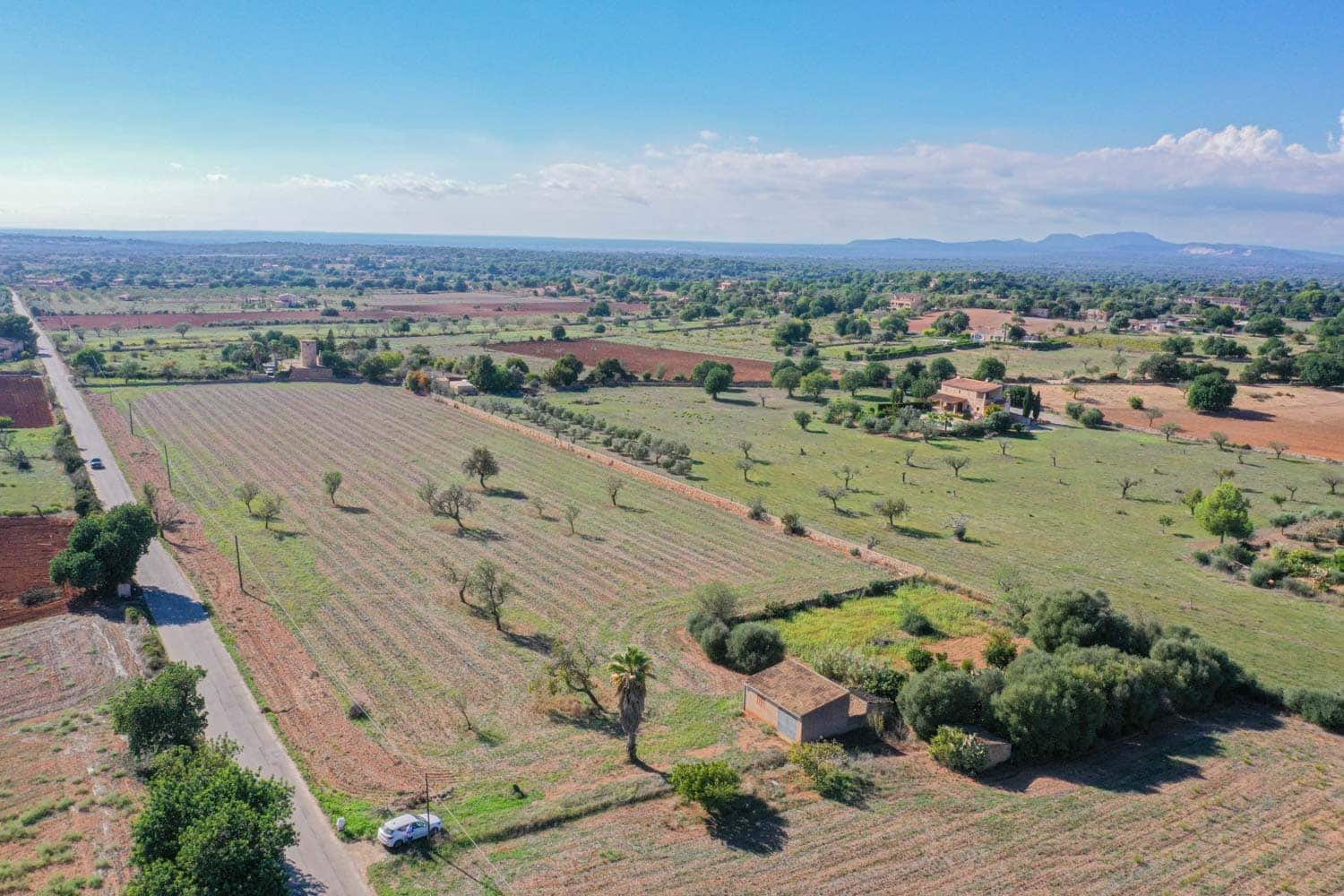 Landgrundstück zu verkaufen in Cas Concos - 350.000 € (Ref: 9678298)