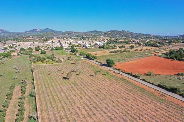 Grunde uden byggetilladelser til salg i Cas Concos, Felanitx - € 350.000 (Ref: 9678298)