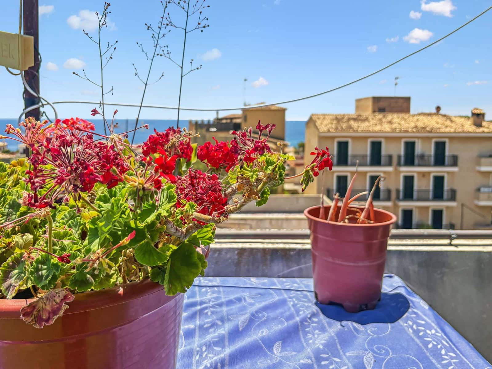 3 makuuhuone Huoneisto myytävänä paikassa Portocristo / Port de Manacor - 275 000 € (Ref: 9778762)