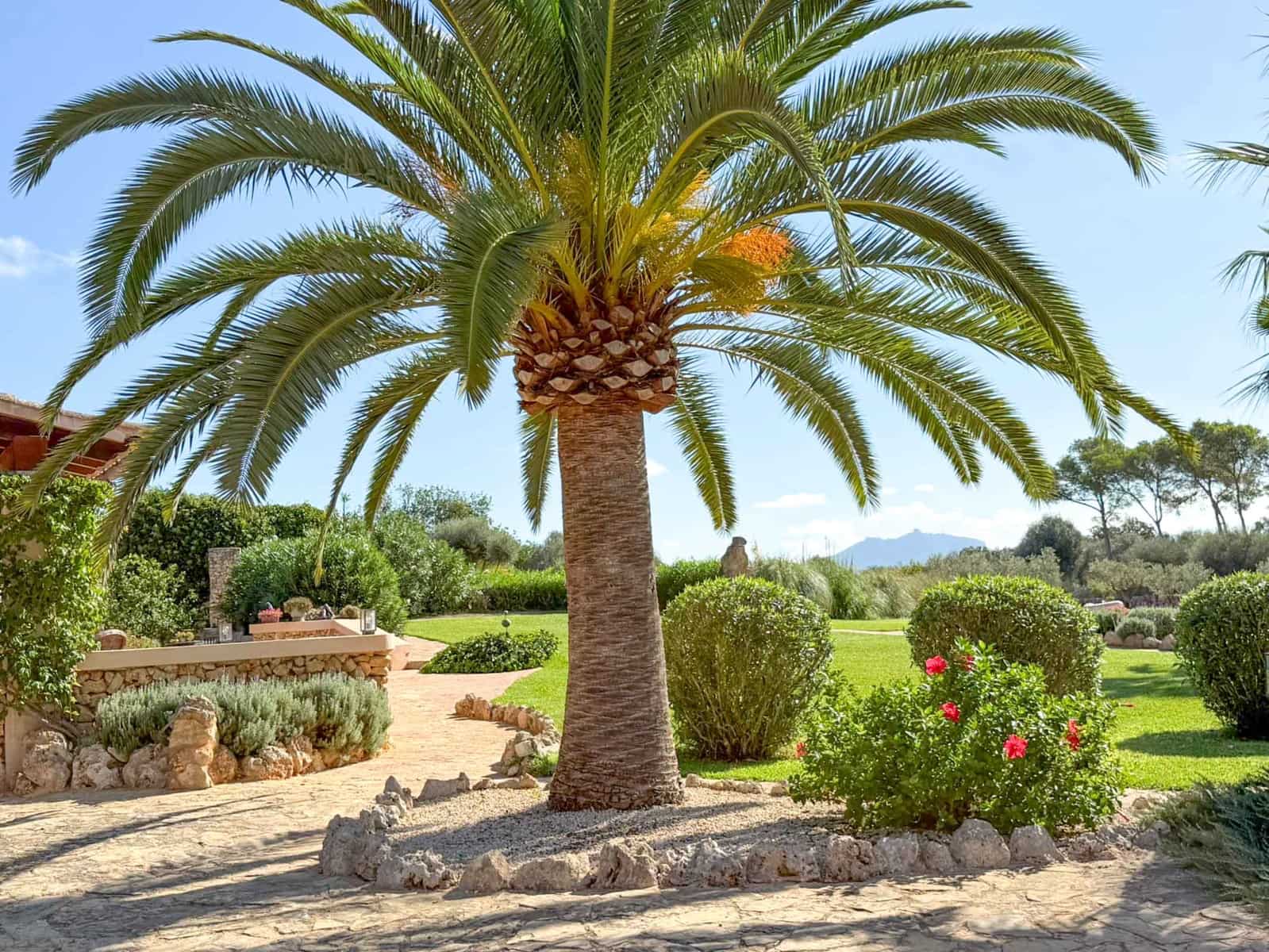3 slaapkamer Finca/Landhuis te koop in Felanitx met zwembad - € 2.435.000 (Ref: 9788725)