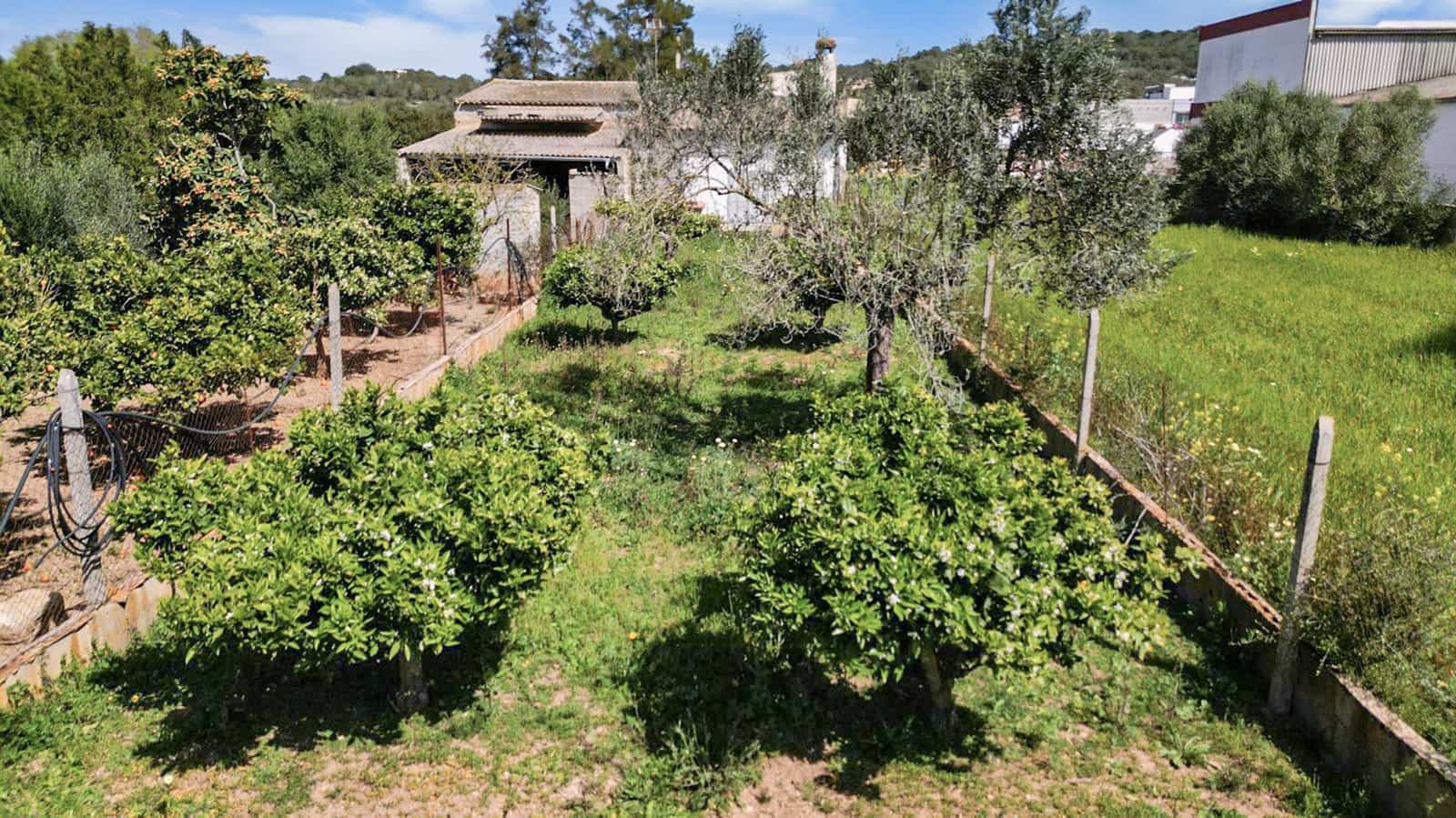 1 sovrum Finca/Hus på landet till salu i Felanitx - 180 000 € (Ref: 9798052)