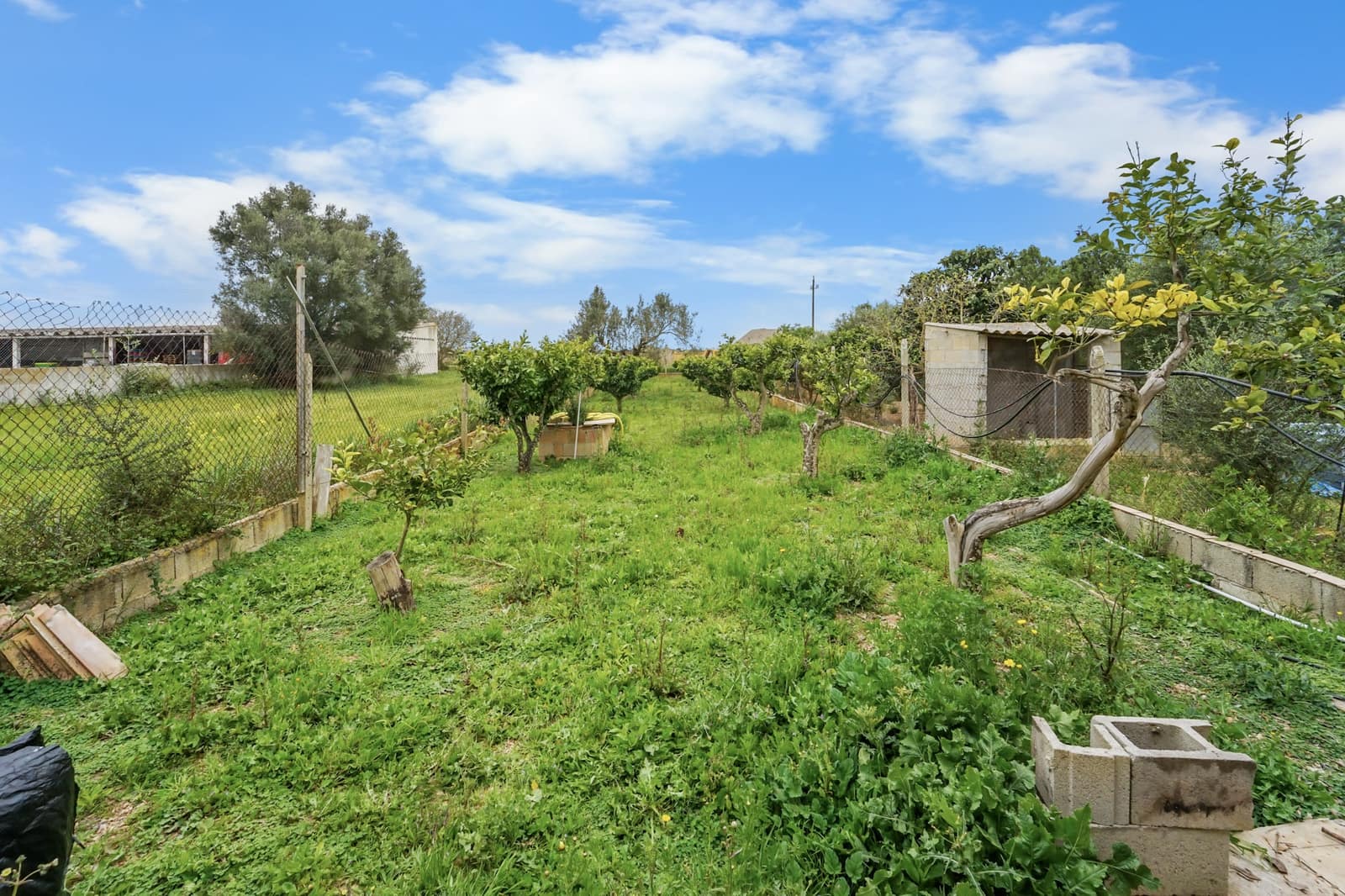 1 sovrum Finca/Hus på landet till salu i Felanitx - 180 000 € (Ref: 9798052)