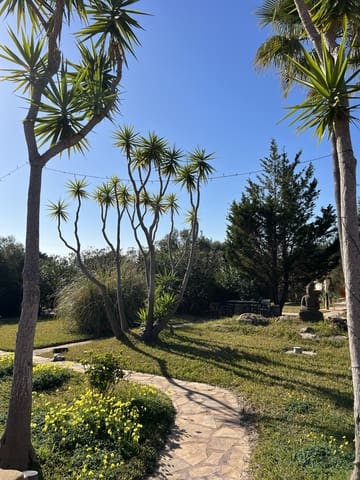 Erhverv til salg i Portocolom, Felanitx med swimmingpool - € 3.300.000 (Ref: 9802719)