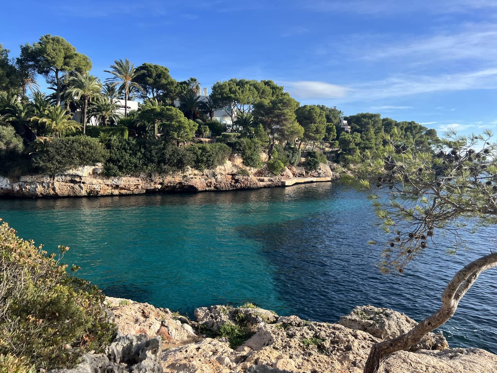 Erhverv til salg i Portocolom med swimmingpool - € 3.300.000 (Ref: 9802719)