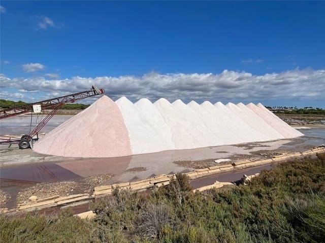 3 Zimmer Apartment zu verkaufen in Colonia de Sant Jordi, Ses Salines mit Pool - 560.000 € (Ref: 9802897)