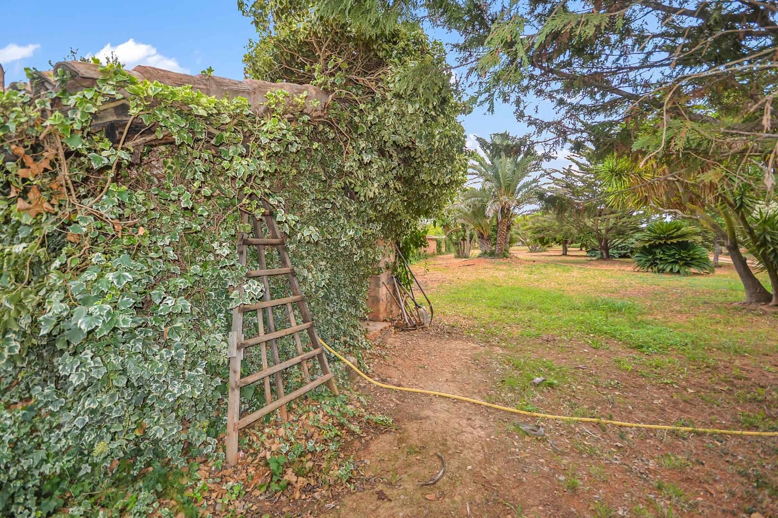 Finca/Casa Rural de 4 habitaciones en Felanitx en venta - 2.200.000 € (Ref: 9805288)