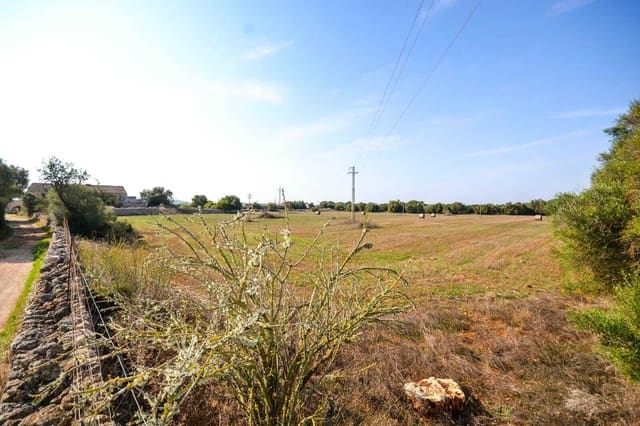 5 chambre Finca/Maison de Campagne à vendre à Vilafranca de Bonany - 2 250 000 € (Ref: 9805289)