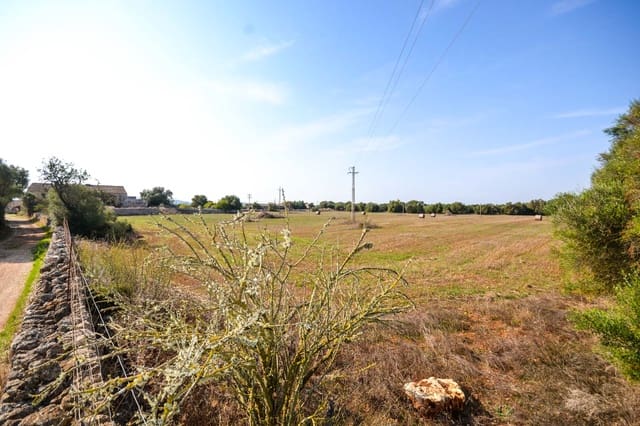 5 chambre Finca/Maison de Campagne à vendre à Vilafranca de Bonany - 2 250 000 € (Ref: 9805289)