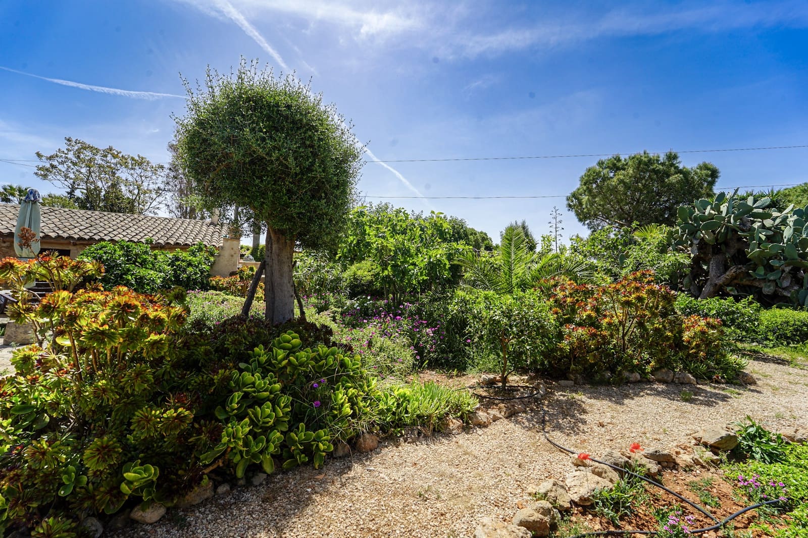 7 Zimmer Finca/Landgut zu verkaufen in Campos mit Pool - 890.000 € (Ref: 9824089)