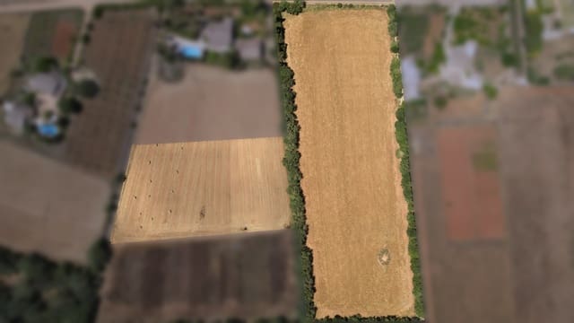 Undeveloped Land for sale in Felanitx - € 241,500 (Ref: 9841895)