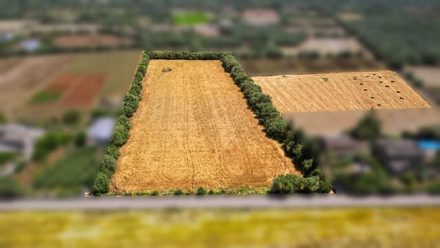 Undeveloped Land for sale in Felanitx - € 241,500 (Ref: 9841895)
