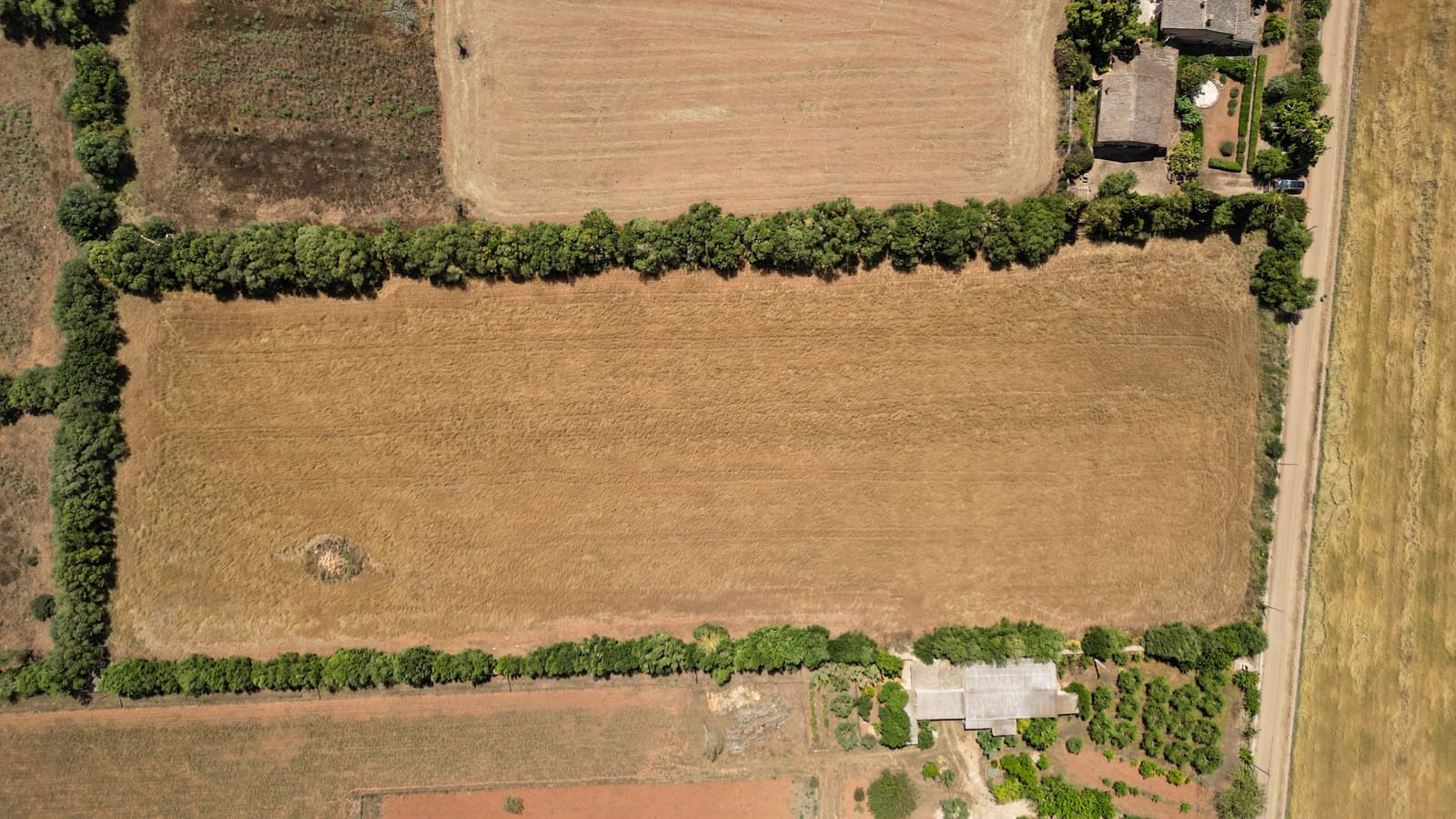 Undeveloped Land for sale in Felanitx - € 241,500 (Ref: 9841895)