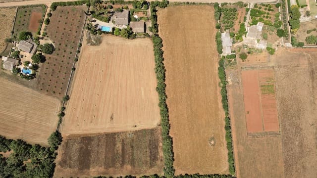 Undeveloped Land for sale in Felanitx - € 241,500 (Ref: 9841895)