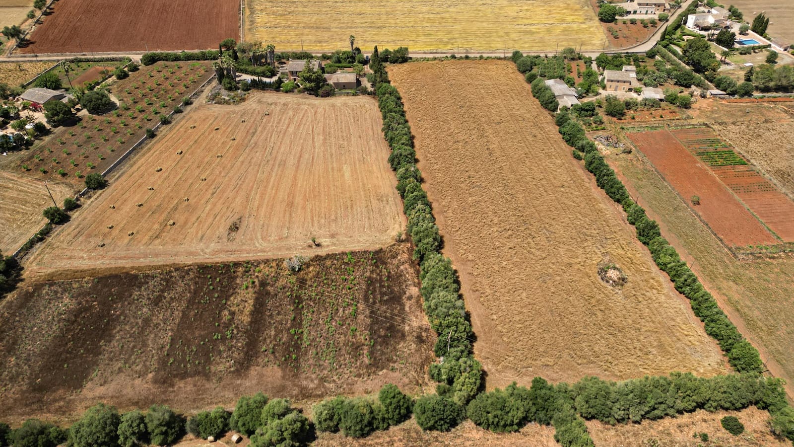 Undeveloped Land for sale in Felanitx - € 241,500 (Ref: 9841895)