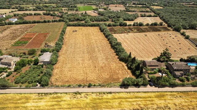 Undeveloped Land for sale in Felanitx - € 241,500 (Ref: 9841895)