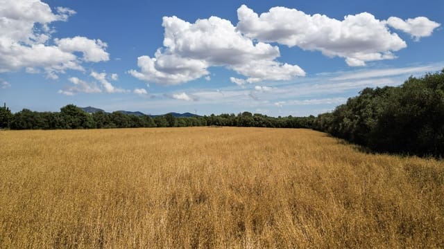 Undeveloped Land for sale in Felanitx - € 241,500 (Ref: 9841895)