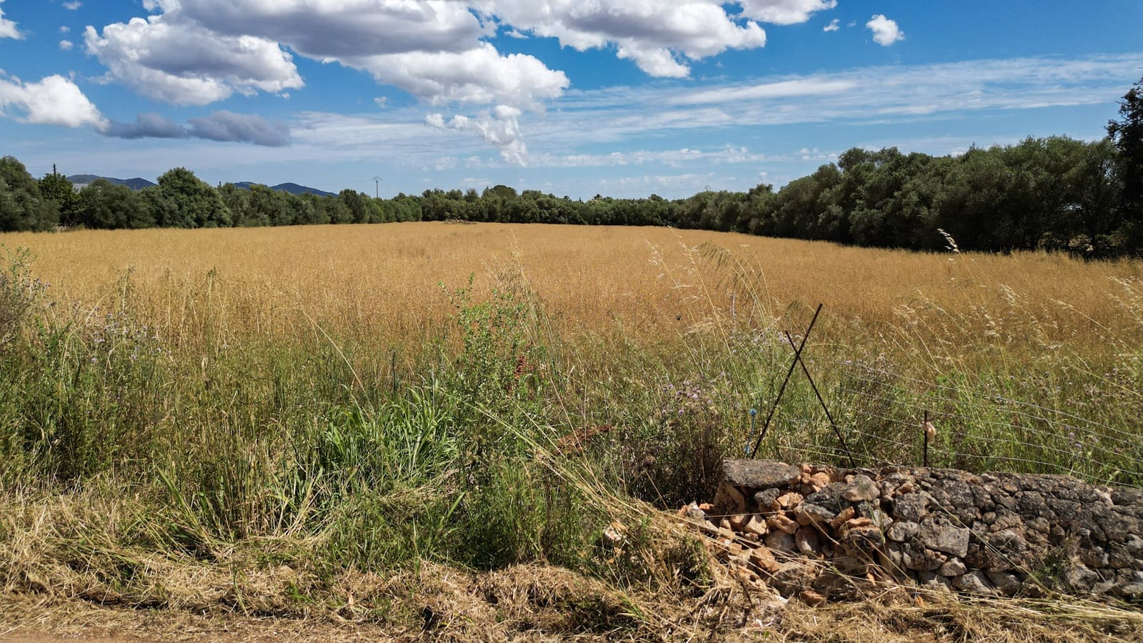 Undeveloped Land for sale in Felanitx - € 241,500 (Ref: 9841895)