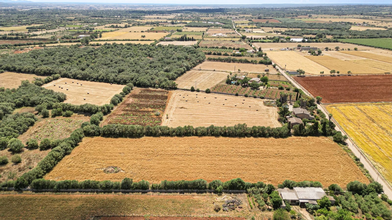 Undeveloped Land for sale in Felanitx - € 241,500 (Ref: 9841895)