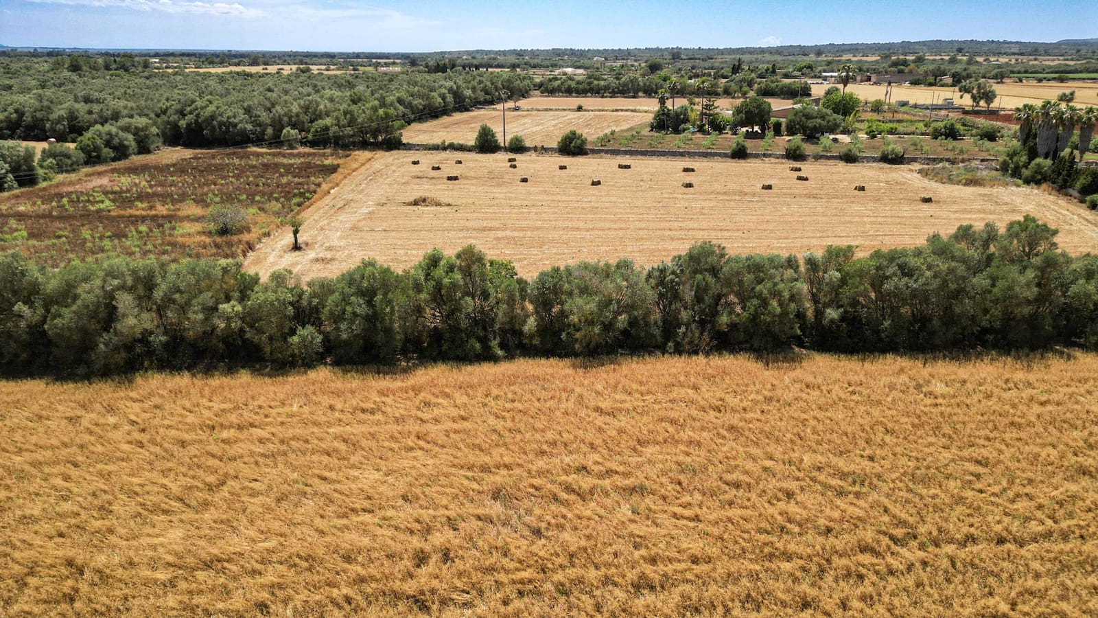 Undeveloped Land for sale in Felanitx - € 241,500 (Ref: 9841895)