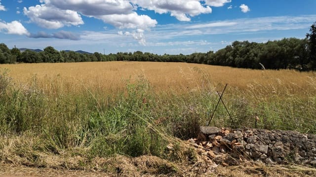 Undeveloped Land for sale in Felanitx - € 241,500 (Ref: 9841895)