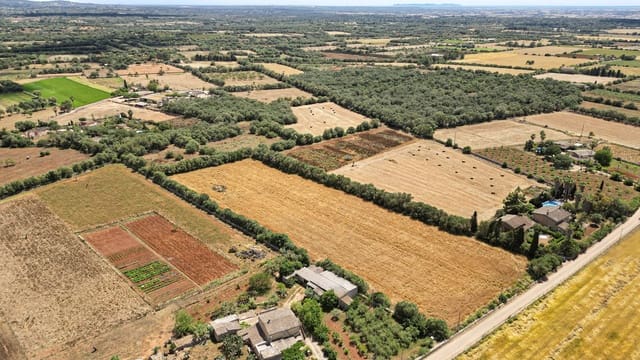 Undeveloped Land for sale in Felanitx - € 241,500 (Ref: 9841895)
