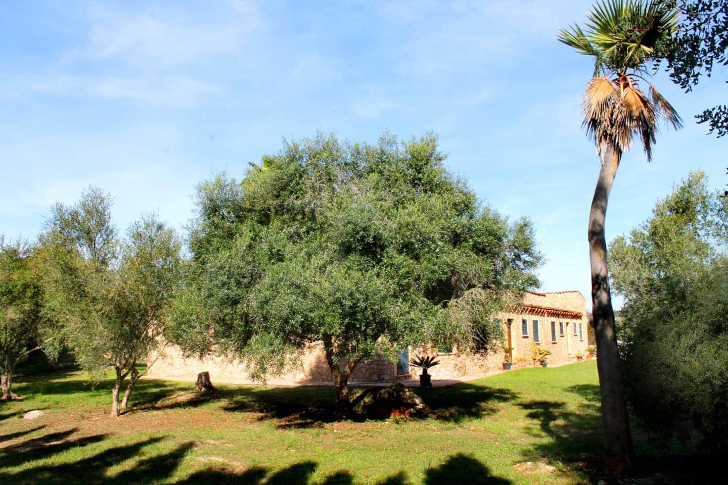 6 bedroom Finca/Country House for sale in Canyamel with pool - € 2,200,000 (Ref: 9877164)