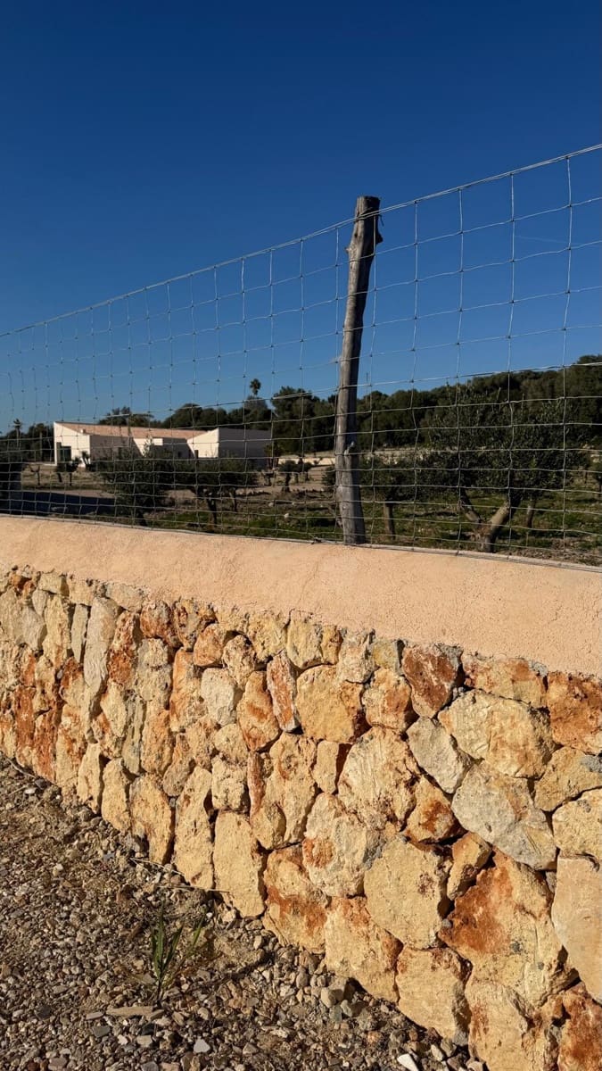 4 slaapkamer Finca/Landhuis te koop in Manacor met zwembad - € 2.290.000 (Ref: 9909088)