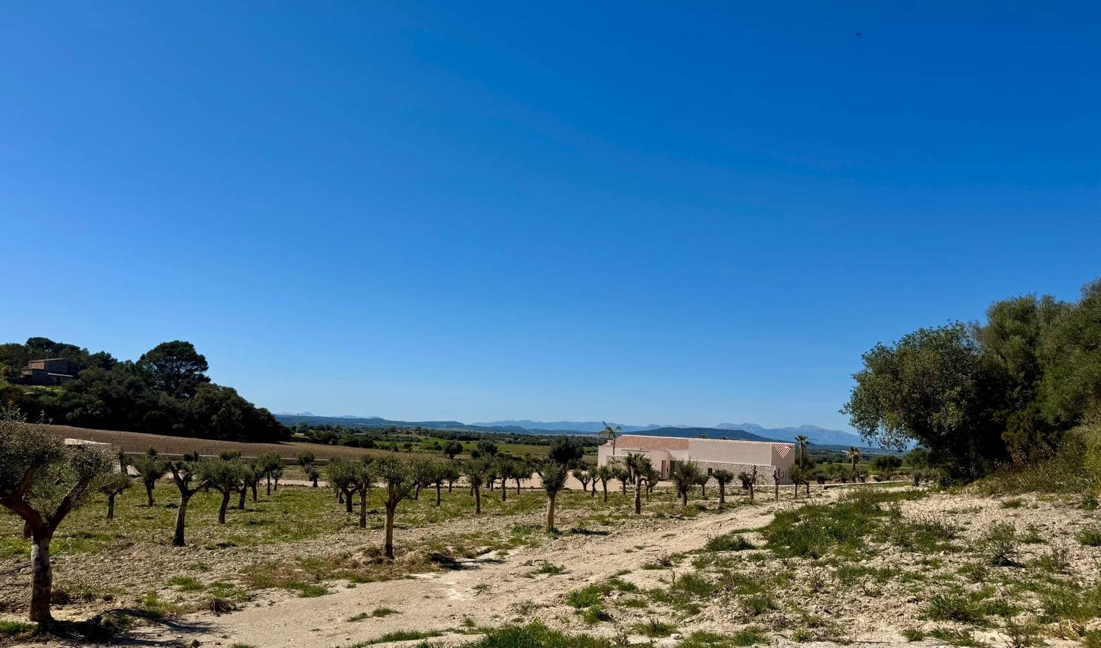 4 slaapkamer Finca/Landhuis te koop in Manacor met zwembad - € 2.290.000 (Ref: 9909088)
