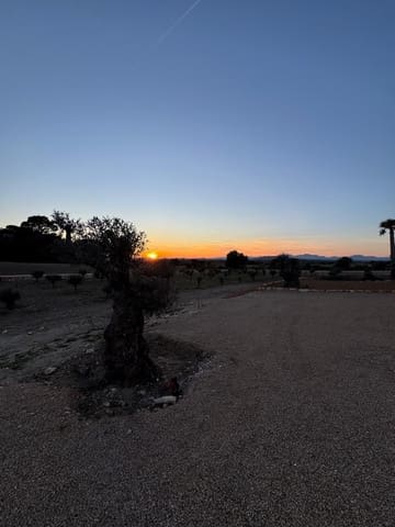 4 soveværelse Finca/Landehus til salg i Son Macia, Manacor med swimmingpool - € 2.290.000 (Ref: 9917495)