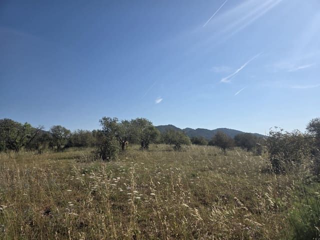 Grunde uden byggetilladelser til salg i Manacor - € 450.000 (Ref: 9921118)