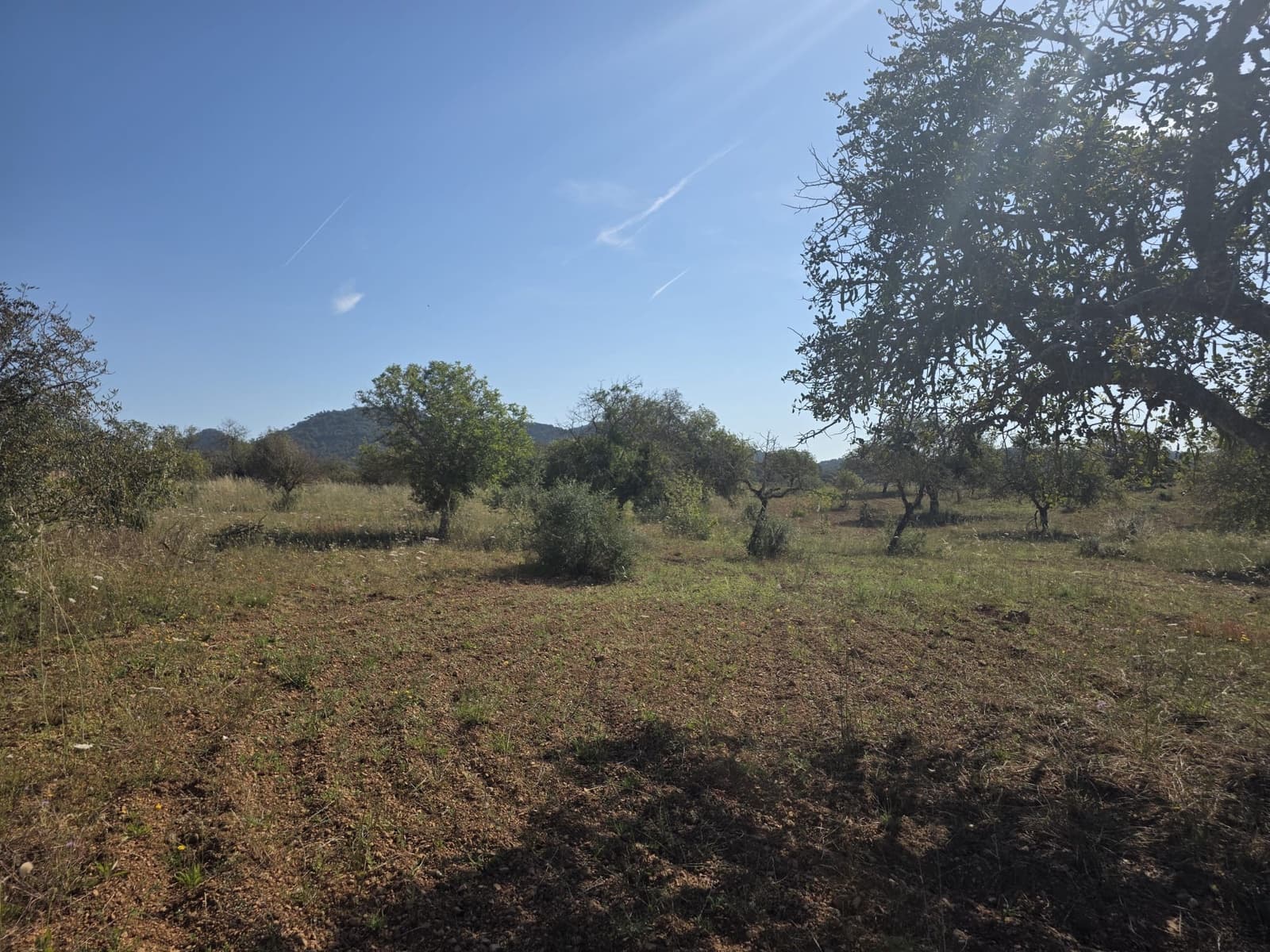Grunde uden byggetilladelser til salg i Manacor - € 450.000 (Ref: 9921118)