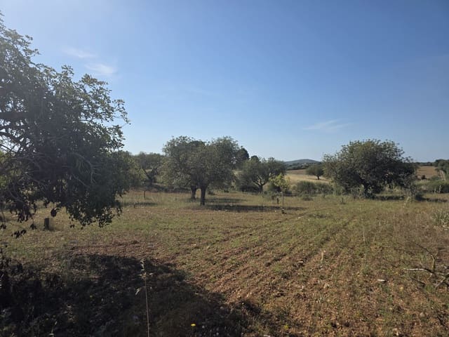 Grunde uden byggetilladelser til salg i Manacor - € 450.000 (Ref: 9921118)