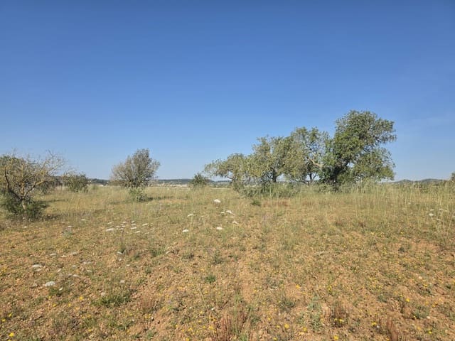 Grunde uden byggetilladelser til salg i Manacor - € 450.000 (Ref: 9921118)